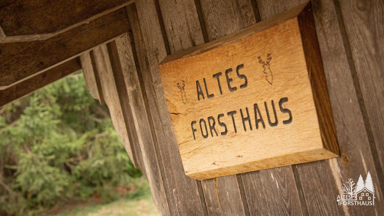 Altes Forsthaus Im Harz Apartment Elbingerode  Ngoại thất bức ảnh