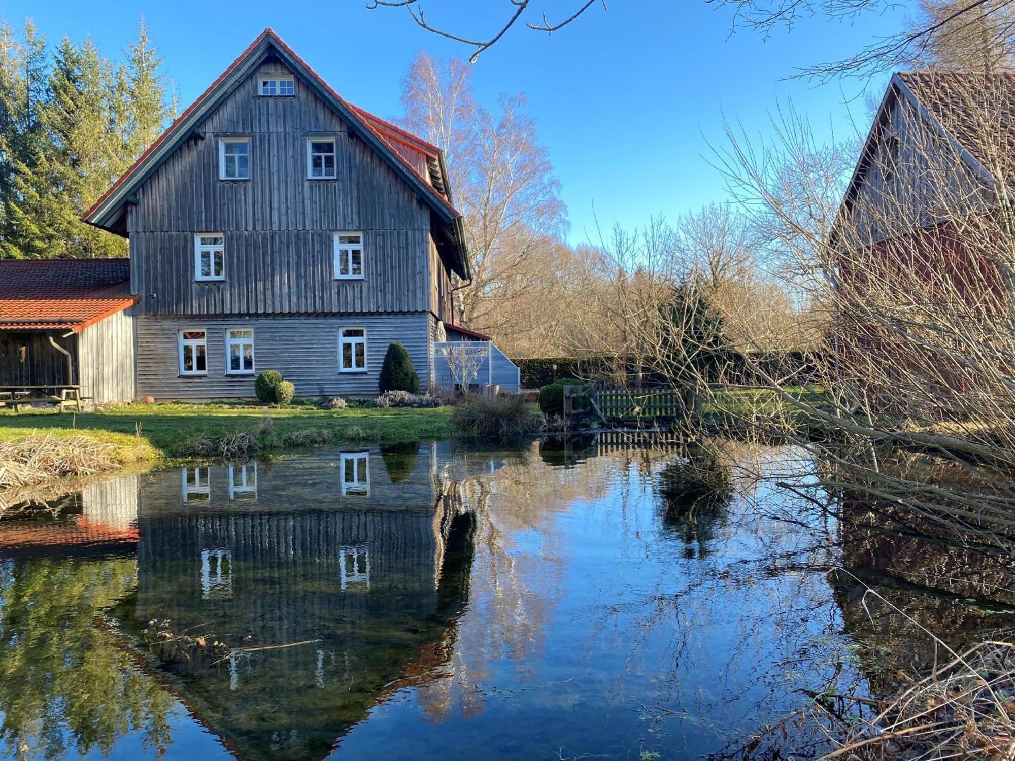Altes Forsthaus Im Harz Apartment Elbingerode  Ngoại thất bức ảnh